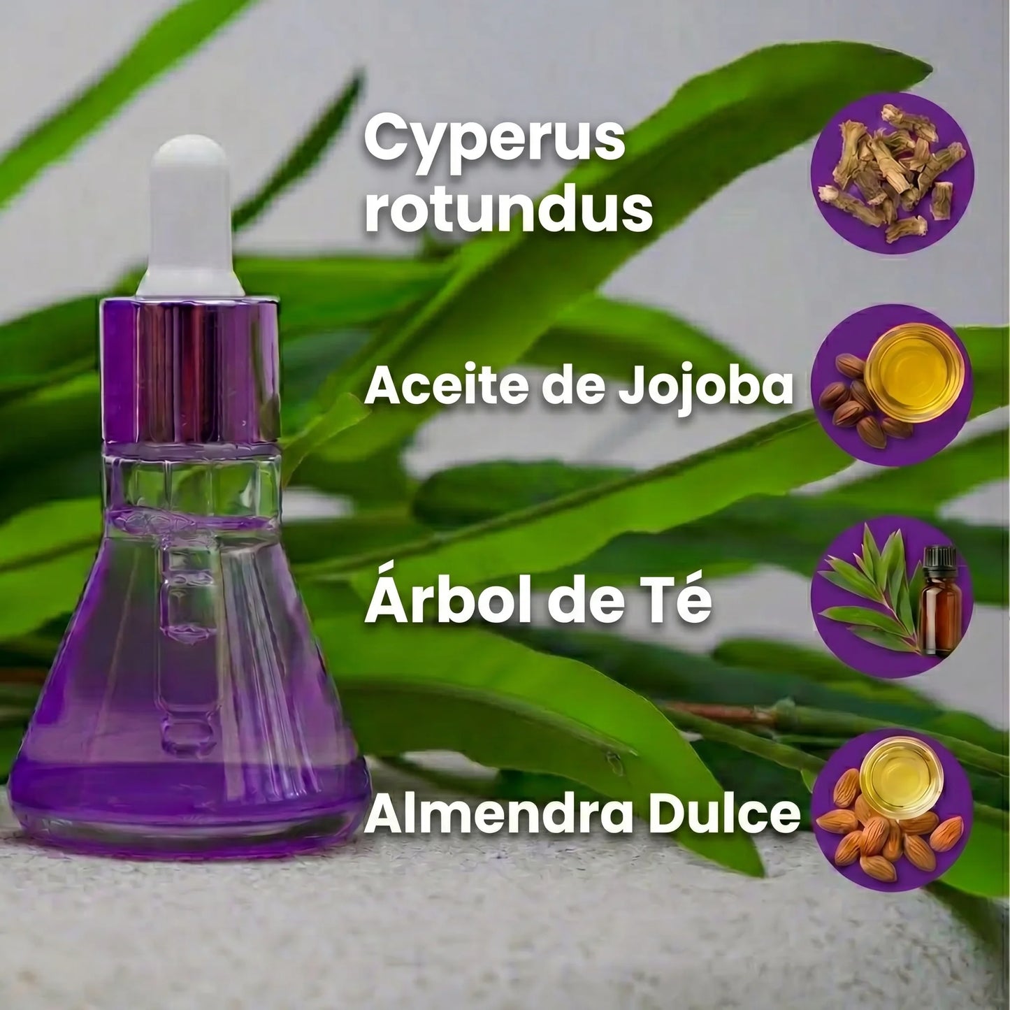 Belora Serum 2x1